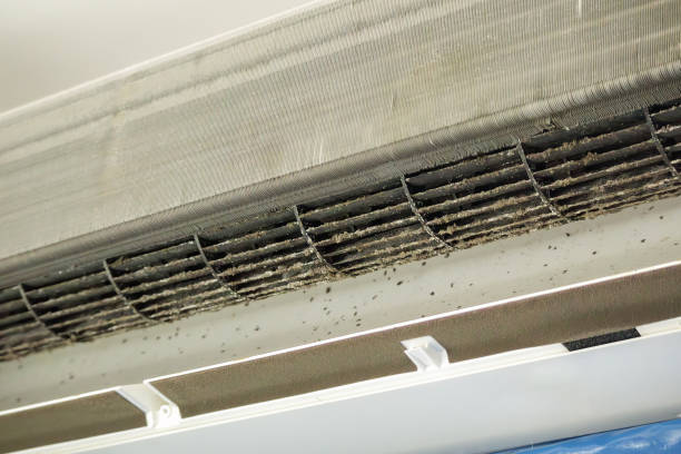 Best Affordable Air Duct Cleaning  in Florham Park, NJ